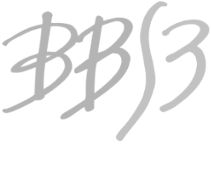 Moodle BBS III